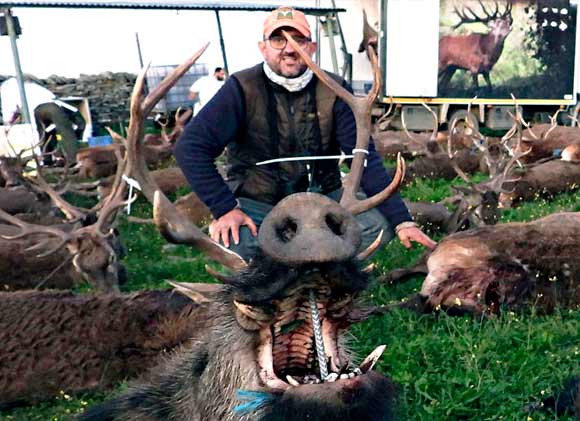 Chaqueta Caza Blaser