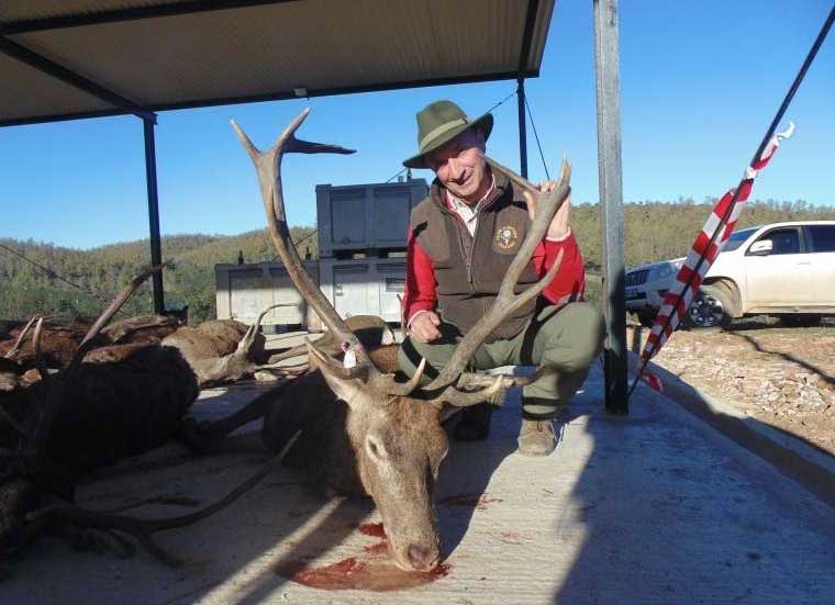 Chaqueta Caza Blaser