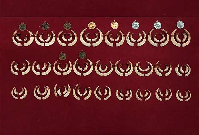 Chaqueta Caza Blaser