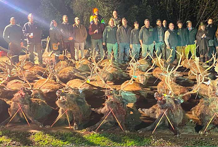 Chaqueta Caza Blaser