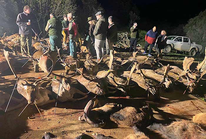 Chaqueta Caza Blaser