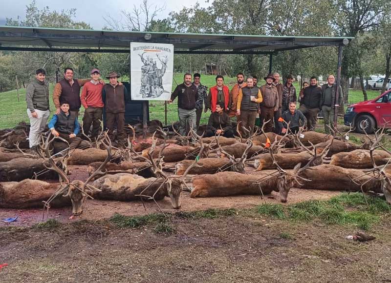 Chaqueta Caza Blaser