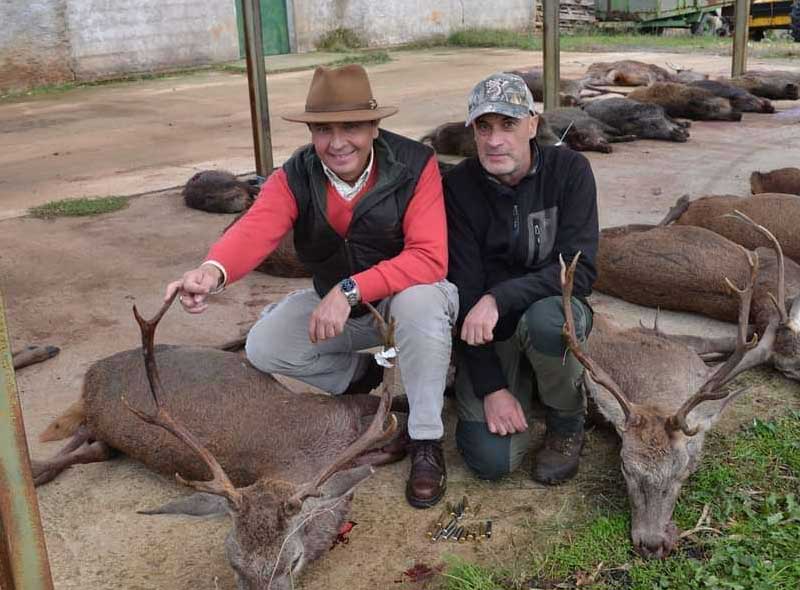 Chaqueta Caza Blaser