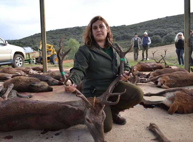 Chaqueta Caza Blaser