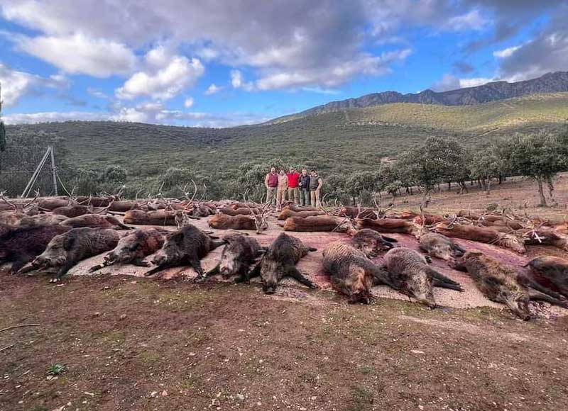 Resultado Montería La Leñera 2023 Peña El Mojino