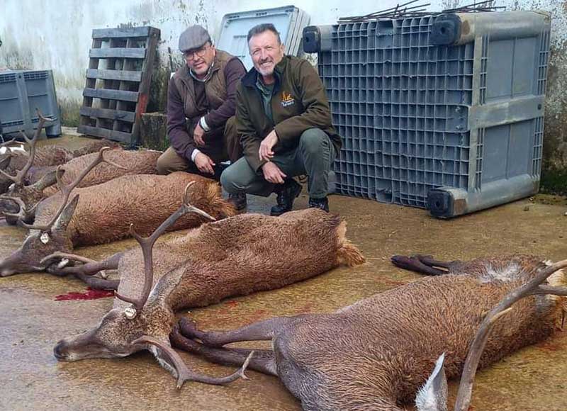 Chaqueta Caza Blaser