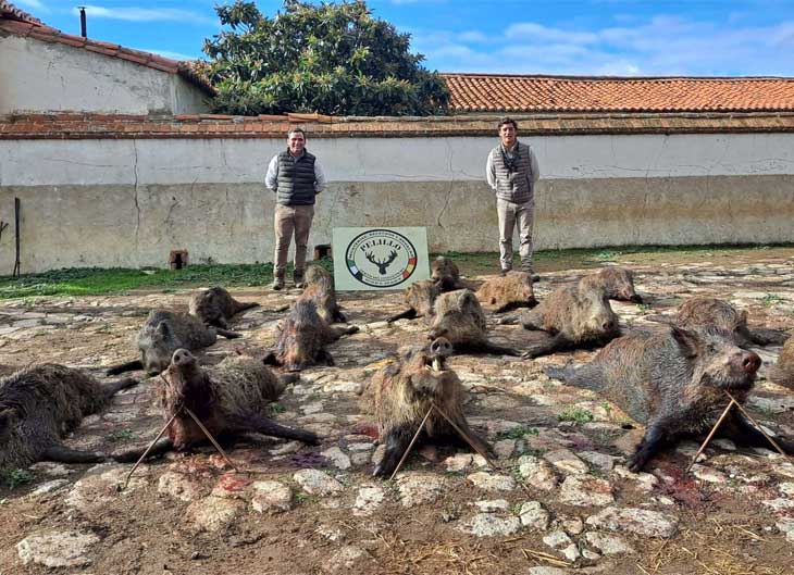 Chaqueta Caza Blaser