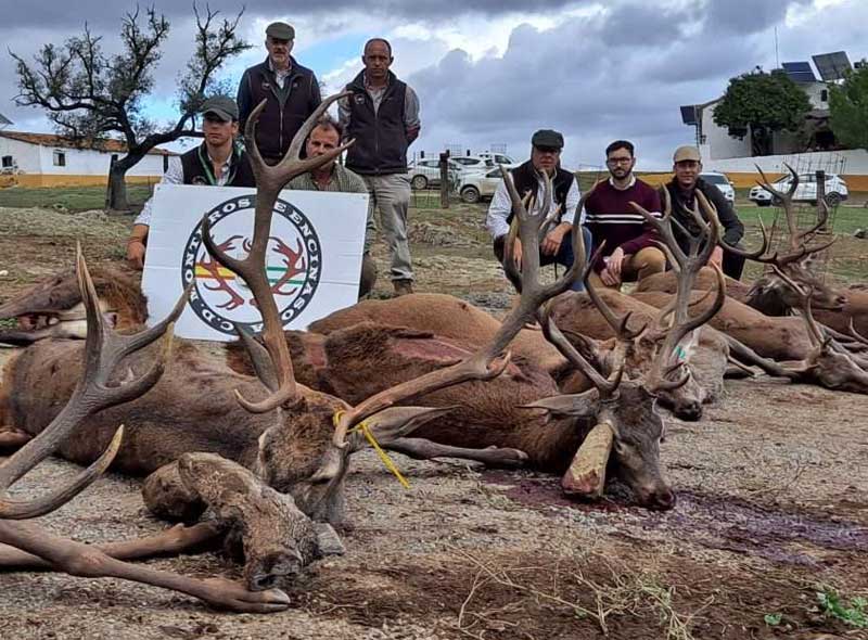 Resultado Montería La Moña 2023 Monteros de Encinasola