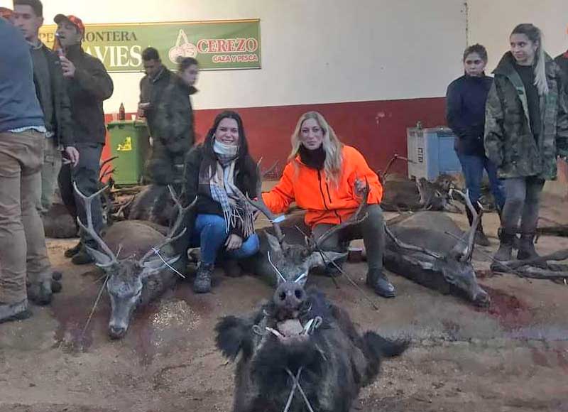 Chaqueta Caza Blaser