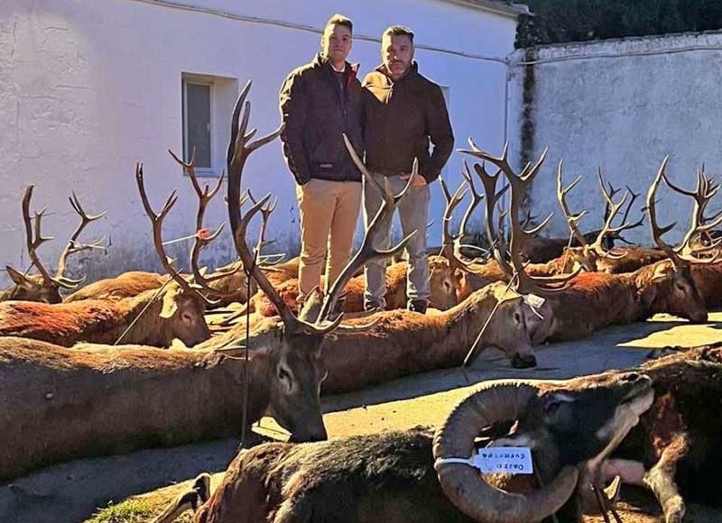 Chaqueta Caza Blaser