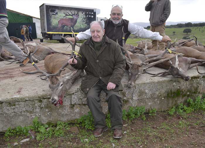 Chaqueta Caza Blaser