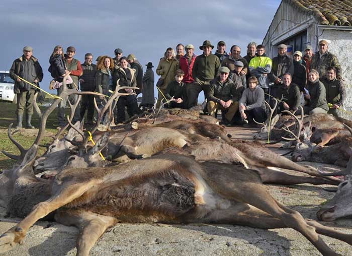 Chaqueta Caza Blaser