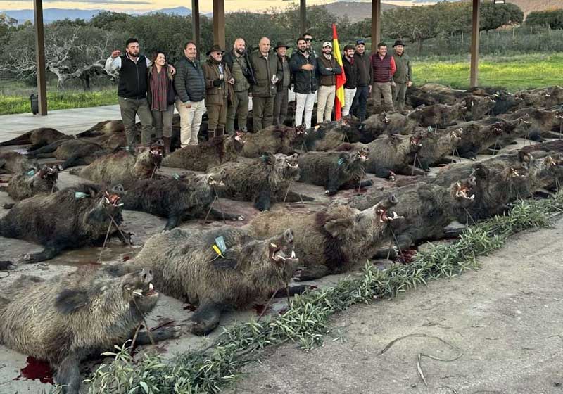 Chaqueta Caza Blaser