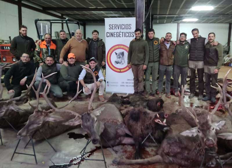 Chaqueta Caza Blaser