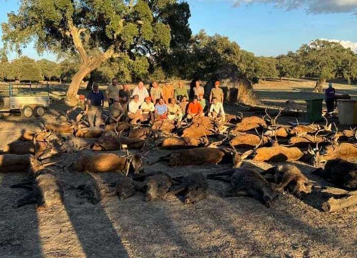 Chaqueta Caza Blaser