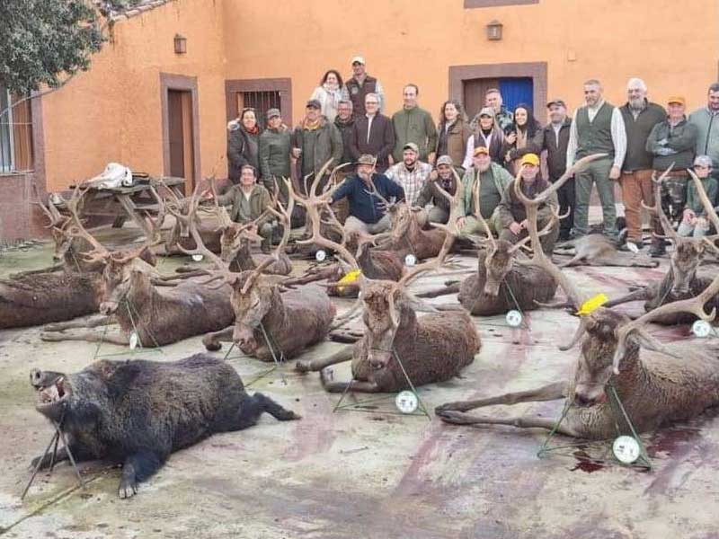 Chaqueta Caza Blaser