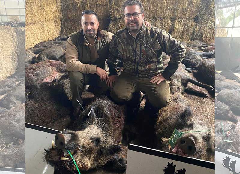 Chaqueta Caza Blaser