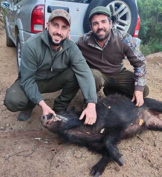 Chaqueta Caza Blaser