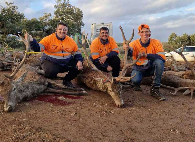 Chaqueta Caza Blaser