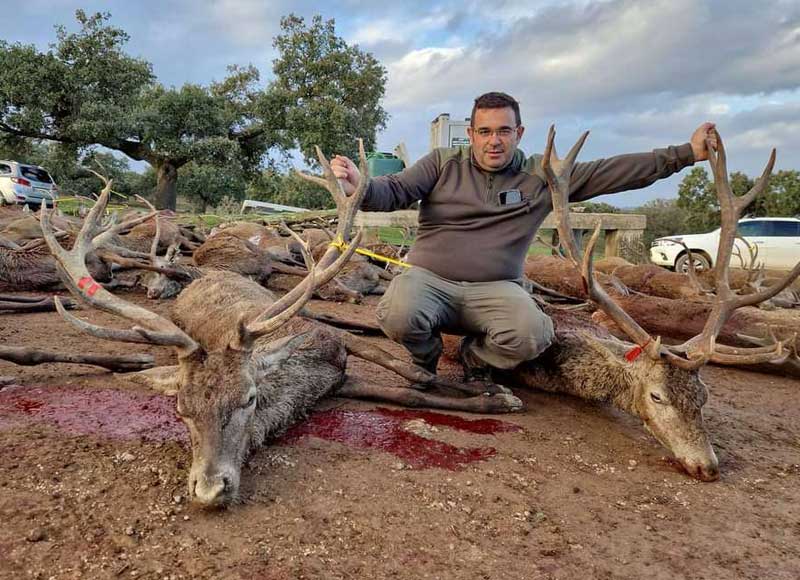 Chaqueta Caza Blaser