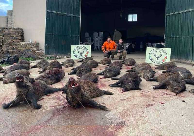 Chaqueta Caza Blaser