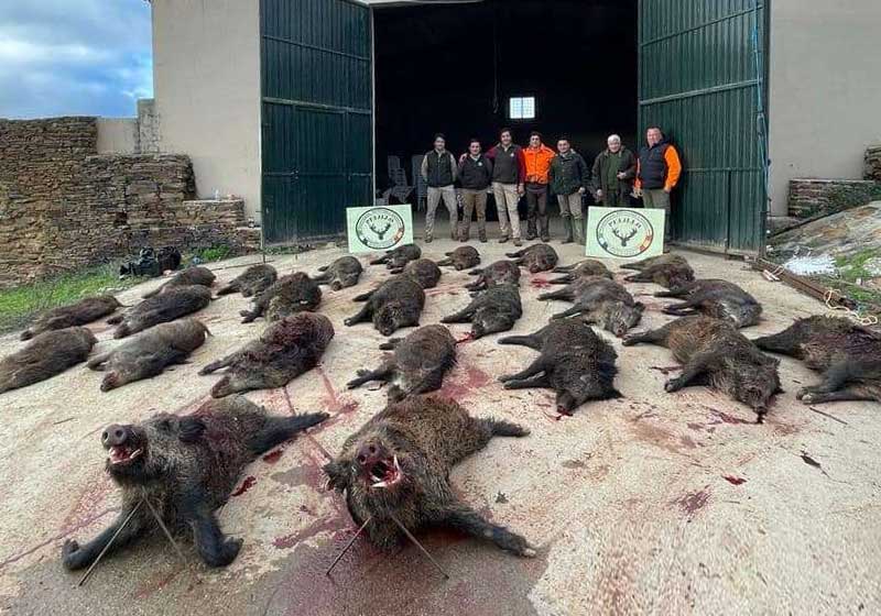 Chaqueta Caza Blaser