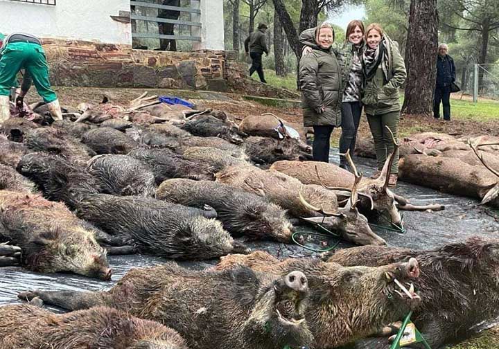 Chaqueta Caza Blaser