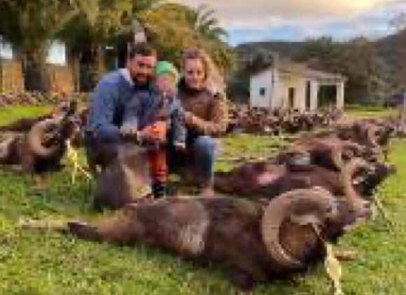 Chaqueta Caza Blaser