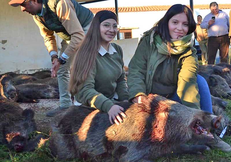 Chaqueta Caza Blaser