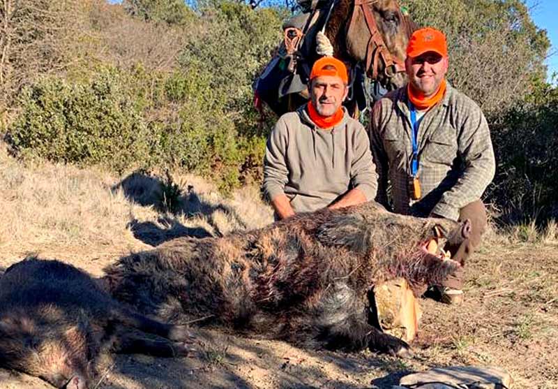 Chaqueta Caza Blaser