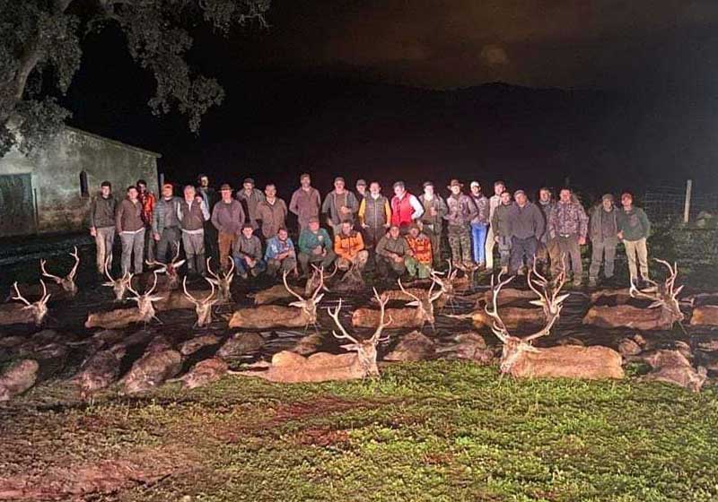 Chaqueta Caza Blaser