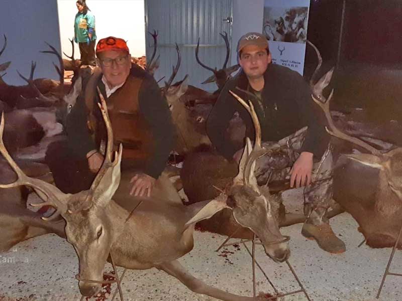 Chaqueta Caza Blaser