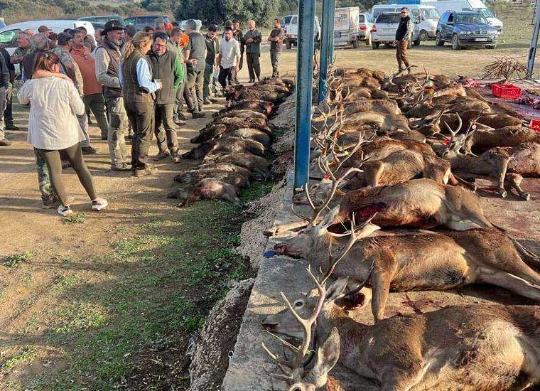 Resultado Montería Maroteras 2023