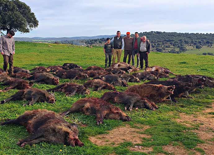 Chaqueta Caza Blaser