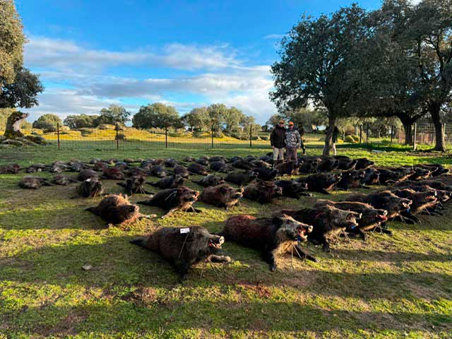 Chaqueta Caza Blaser