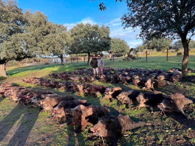 Chaqueta Caza Blaser