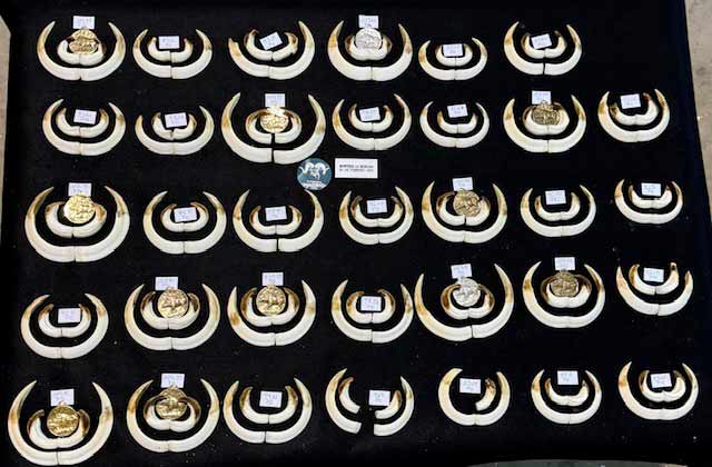 Chaqueta Caza Blaser