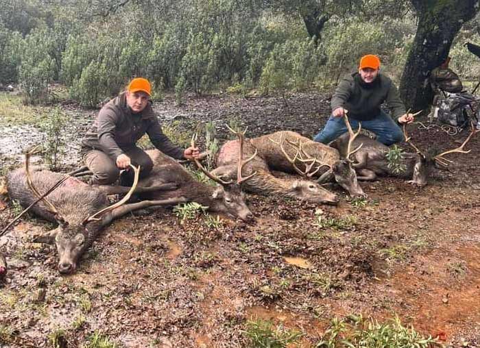 Chaqueta Caza Blaser