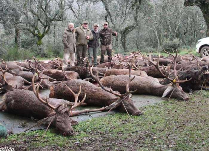 Chaqueta Caza Blaser