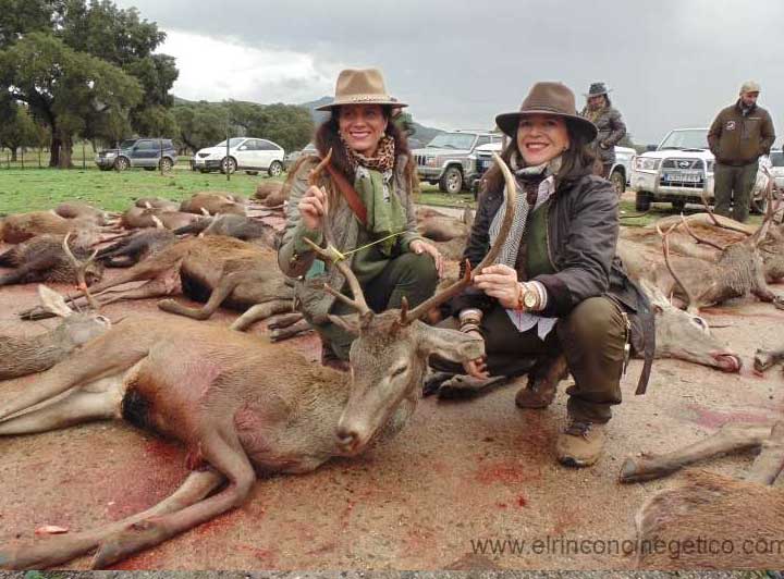 Resultado Montería Navavaca y Perodosma 2023 Rincón Cinegético