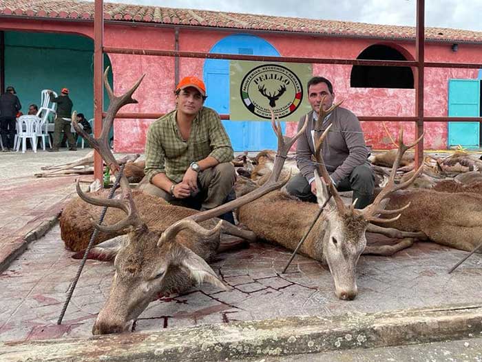 Chaqueta Caza Blaser
