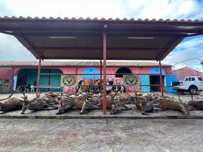 Chaqueta Caza Blaser