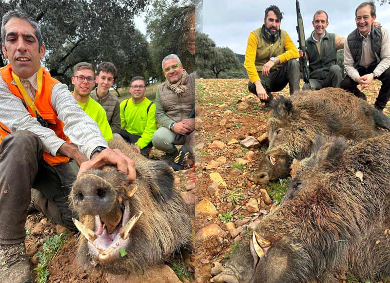 Chaqueta Caza Blaser