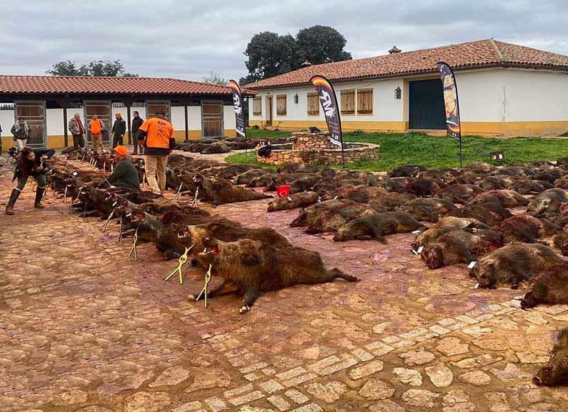 Chaqueta Caza Blaser