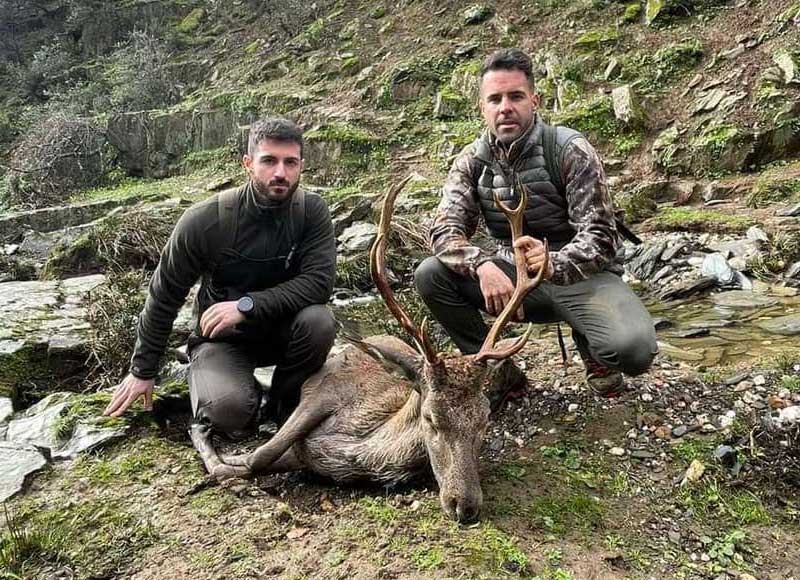 Chaqueta Caza Blaser