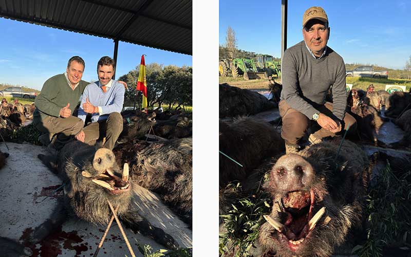 Chaqueta Caza Blaser