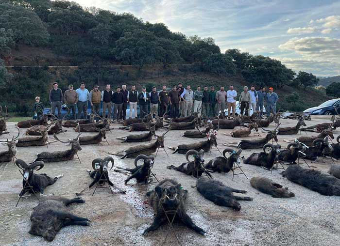 Chaqueta Caza Blaser