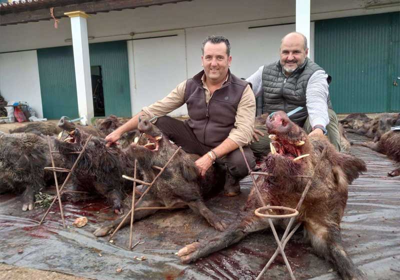 Chaqueta Caza Blaser