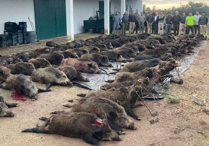 Chaqueta Caza Blaser