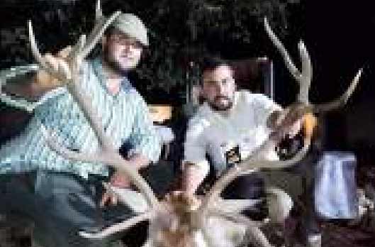 Chaqueta Caza Blaser